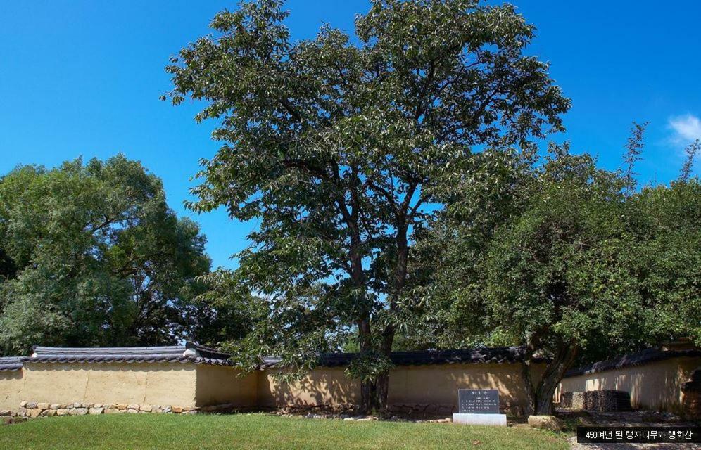 Bukchondaek Bed & Breakfast Andong Bagian luar foto